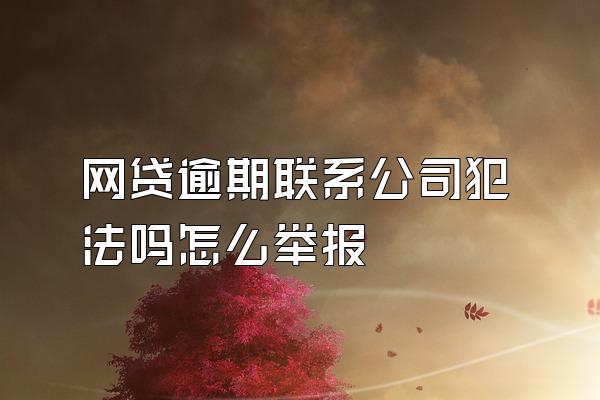 网贷逾期联系公司犯法吗怎么举报