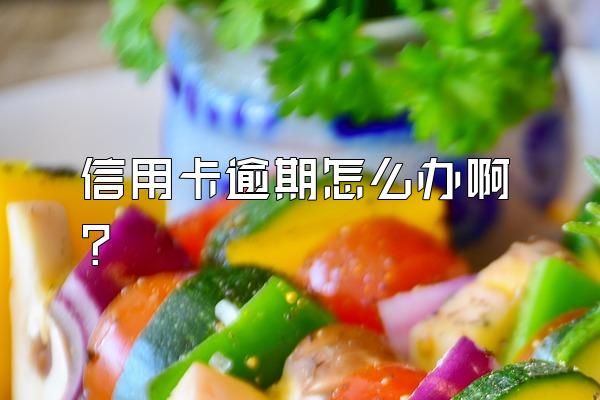 信用卡逾期怎么办啊?