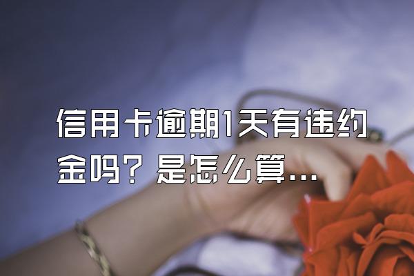 信用卡逾期1天有违约金吗？是怎么算的？