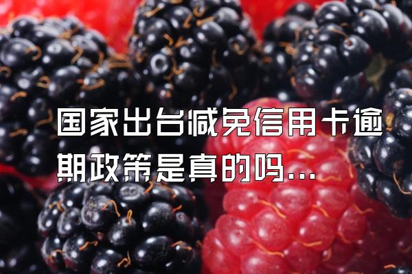 国家出台减免信用卡逾期政策是真的吗？暴力催收怎么举报？