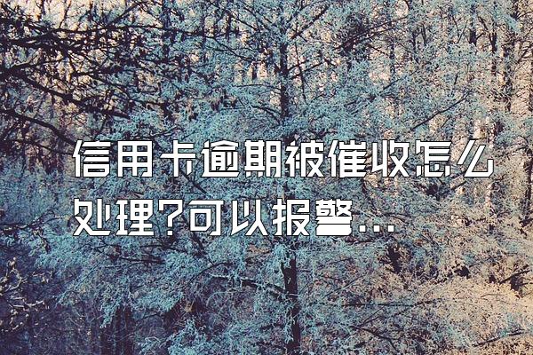 信用卡逾期被催收怎么处理?可以报警吗?