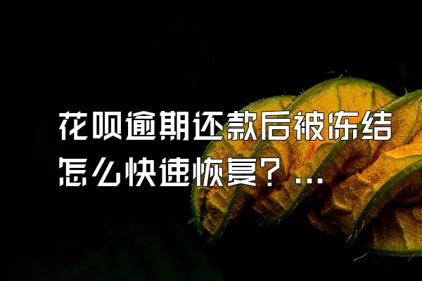 花呗逾期还款后被冻结怎么快速恢复？对个人信用有影响吗？