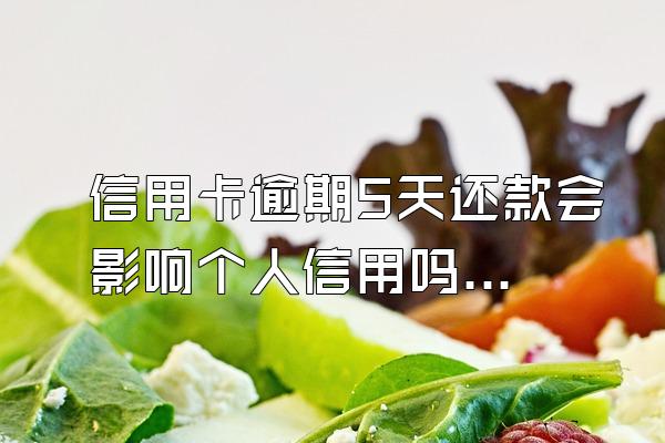 信用卡逾期5天还款会影响个人信用吗？怎么补救