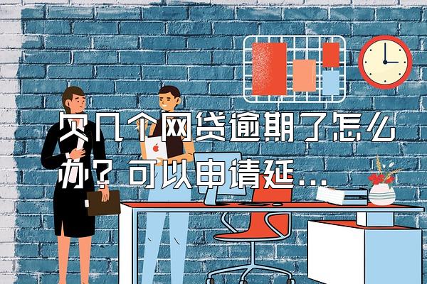 欠几个网贷逾期了怎么办？可以申请延期还款吗？