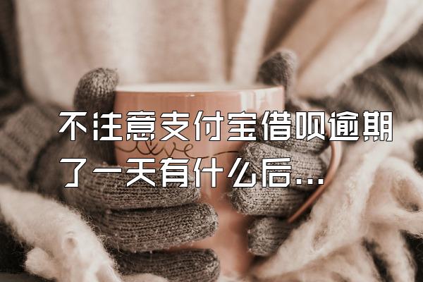 不注意支付宝借呗逾期了一天有什么后果？怎么没有额度了？