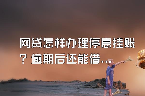 网贷怎样办理停息挂账？逾期后还能借到钱吗？