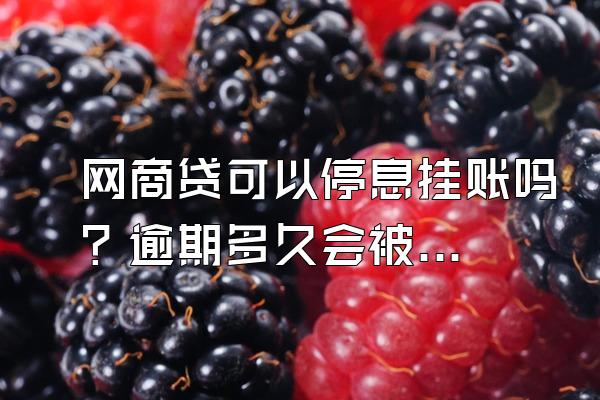 网商贷可以停息挂账吗？逾期多久会被起诉？