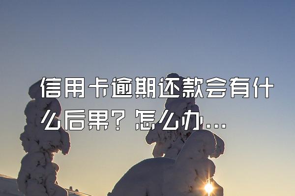 信用卡逾期还款会有什么后果？怎么办理停息分期？