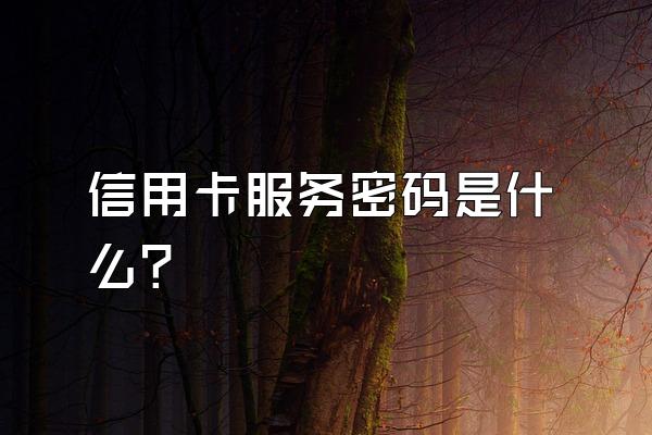 信用卡服务密码是什么？