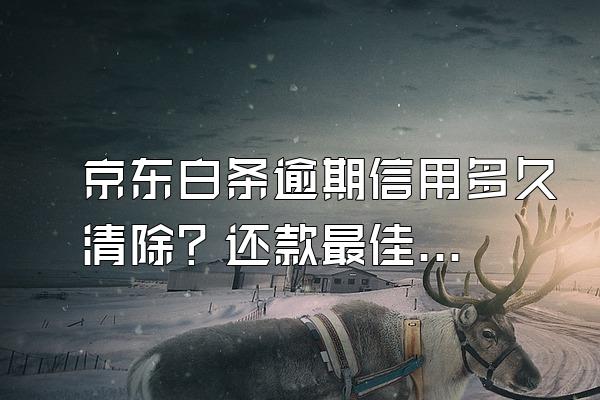 京东白条逾期信用多久清除？还款最佳处理方法？