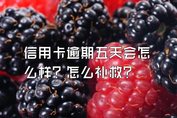 信用卡逾期五天会怎么样？怎么补救？