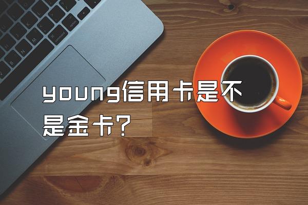 young信用卡是不是金卡？