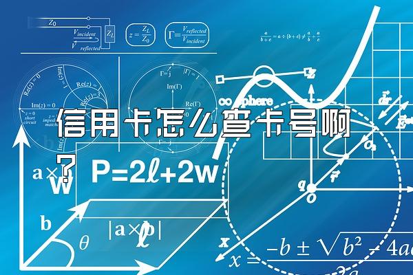 信用卡怎么查卡号啊？