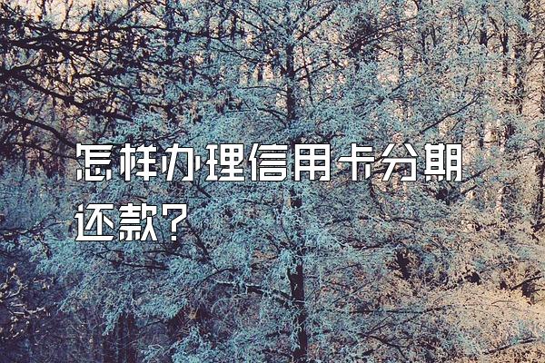 怎样办理信用卡分期还款？