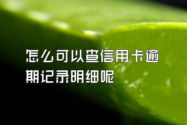 怎么可以查信用卡逾期记录明细呢
