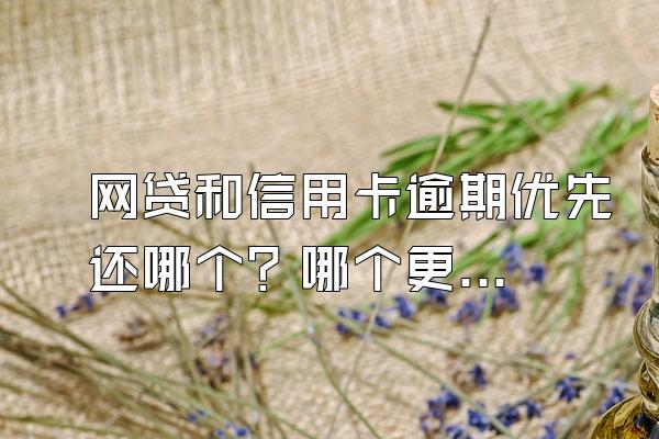 网贷和信用卡逾期优先还哪个？哪个更严重？