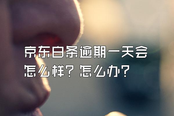 京东白条逾期一天会怎么样？怎么办？