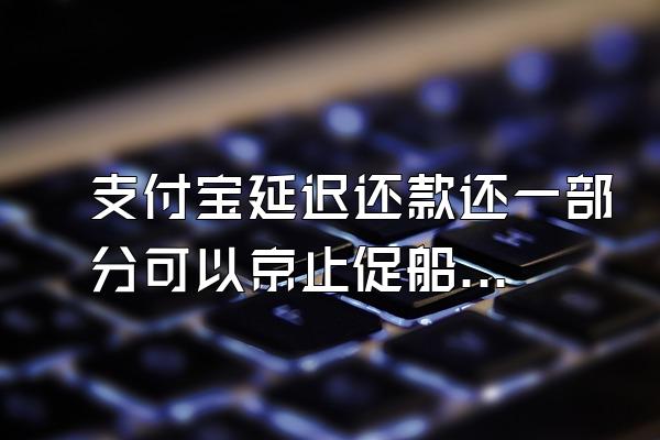 支付宝延迟还款还一部分可以京止促船亲再刷出来吗?