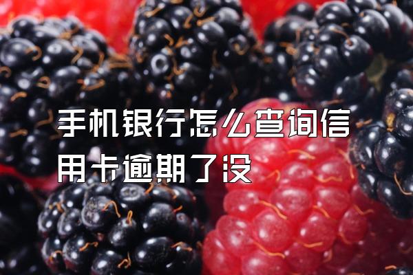 手机银行怎么查询信用卡逾期了没