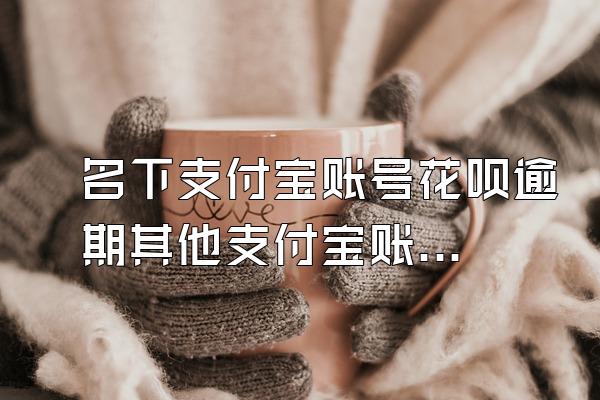 名下支付宝账号花呗逾期其他支付宝账号受影响那吗