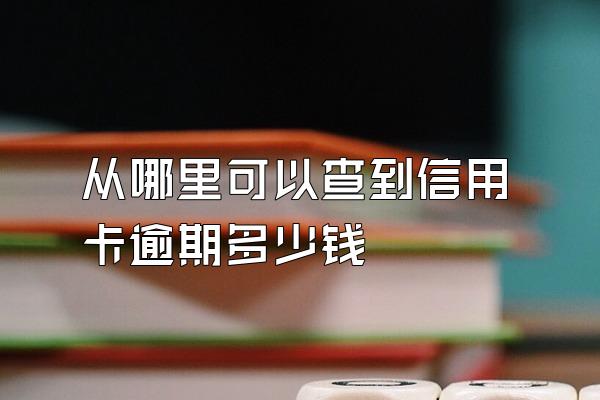 从哪里可以查到信用卡逾期多少钱