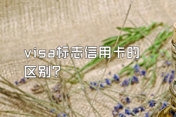 visa标志信用卡的区别？