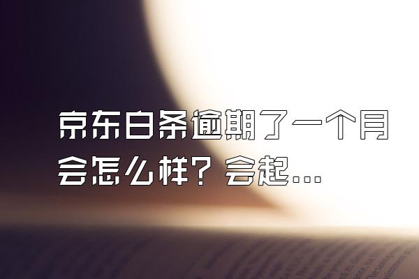 京东白条逾期了一个月会怎么样？会起诉吗？