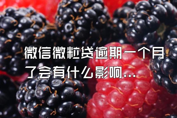 微信微粒贷逾期一个月了会有什么影响？该怎么协商？