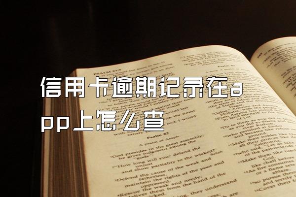 信用卡逾期记录在app上怎么查