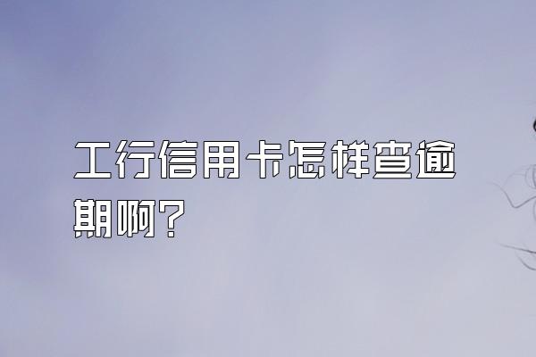 工行信用卡怎样查逾期啊？