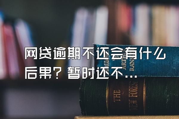 网贷逾期不还会有什么后果？暂时还不上怎么办？