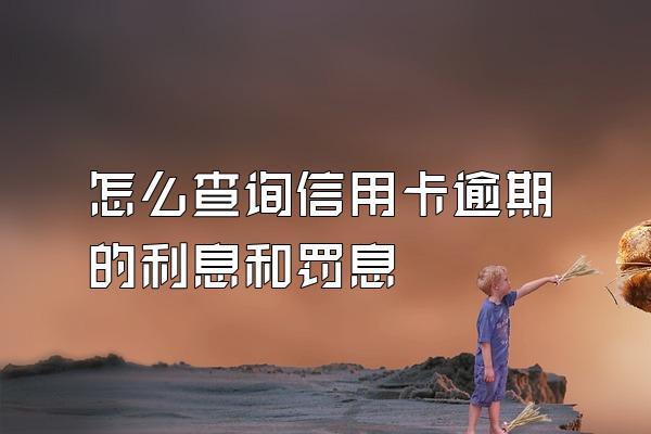怎么查询信用卡逾期的利息和罚息