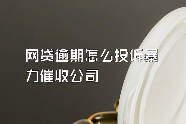 网贷逾期怎么投诉暴力催收公司