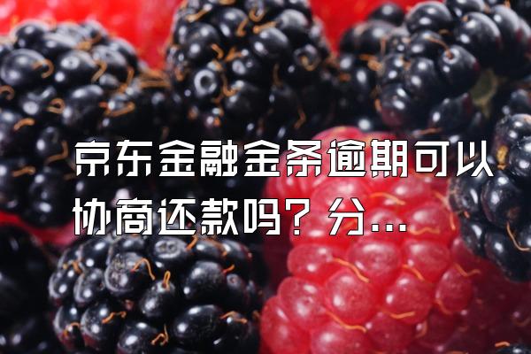 京东金融金条逾期可以协商还款吗？分多少期还款比较合适？