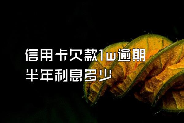 信用卡欠款1w逾期半年利息多少