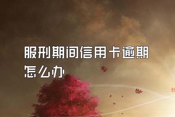 服刑期间信用卡逾期怎么办
