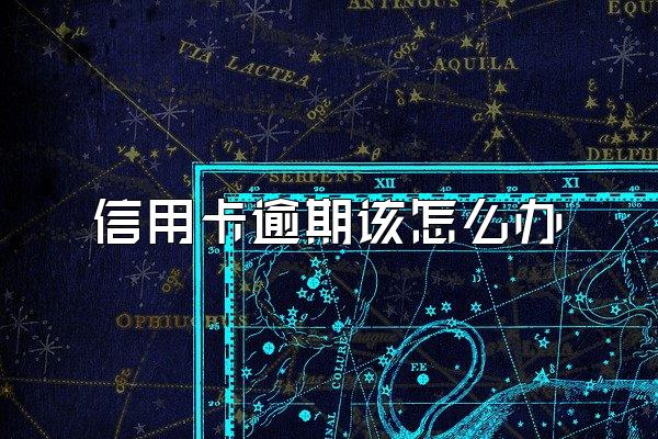 信用卡逾期该怎么办