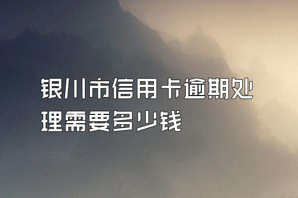 银川市信用卡逾期处理需要多少钱