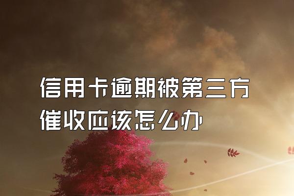 信用卡逾期被第三方催收应该怎么办