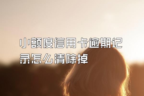 小额度信用卡逾期记录怎么清除掉
