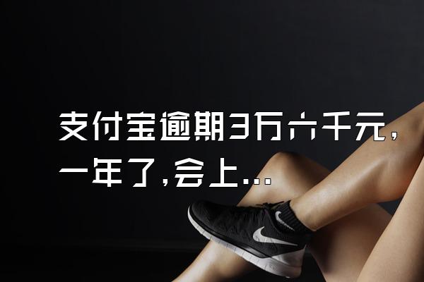 支付宝逾期3万六千元,一年了,会上门催收吗?