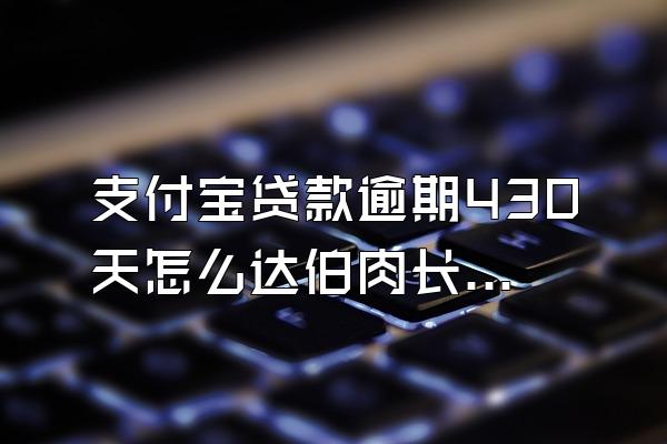 支付宝贷款逾期430天怎么达伯肉长两处理?