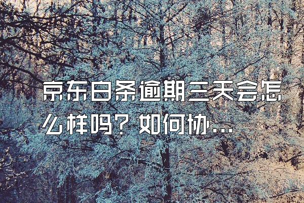 京东白条逾期三天会怎么样吗？如何协商分期?