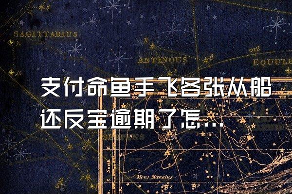 支付命鱼手飞各张从船还反宝逾期了怎么还款?