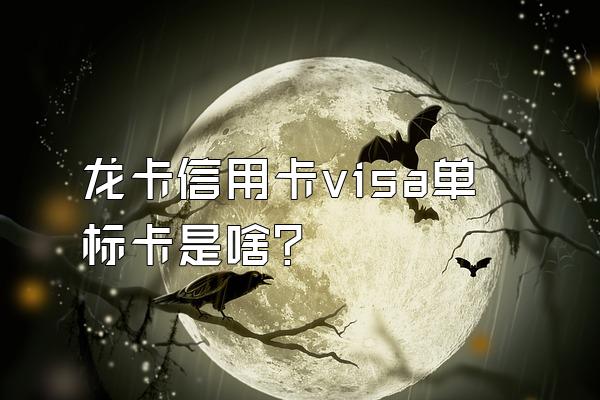 龙卡信用卡visa单标卡是啥？
