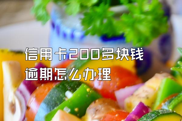 信用卡200多块钱逾期怎么办理