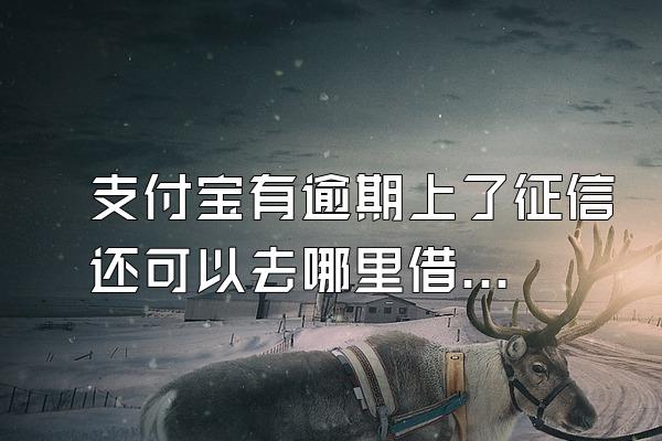 支付宝有逾期上了征信还可以去哪里借点钱?