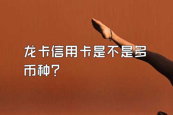 龙卡信用卡是不是多币种？
