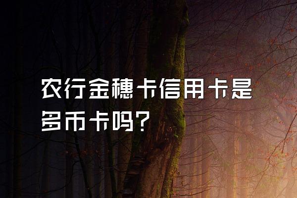 农行金穗卡信用卡是多币卡吗？