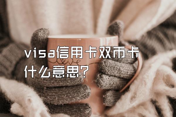 visa信用卡双币卡什么意思？